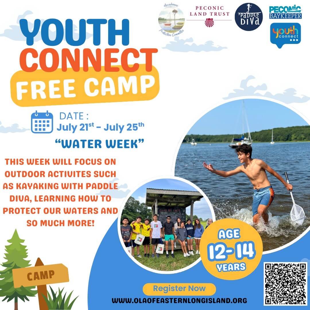 Ola offers free summer camp for young people from 12 to 14 years in Long Island