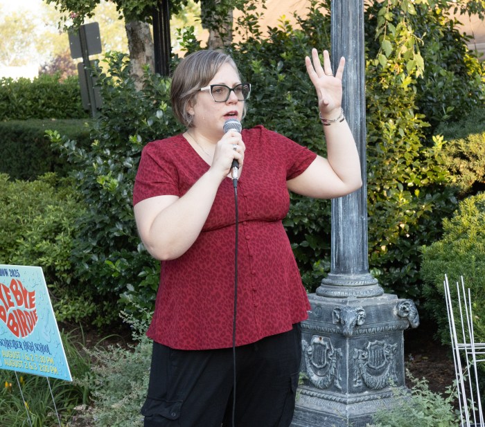 They say no to ICE! ... the inhabitants of Port Washington illuminate a sea of darkness