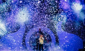 LIVE IT NY! 3+ Fun Activities to Enjoy in New York City