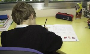 ADHD in children (ADHD): What everyone should know