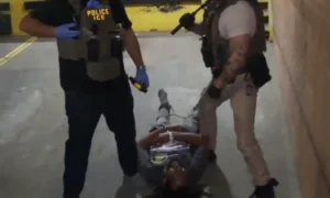 New details of the ICE operation at a Brooklyn hospital: masked agents remove a man and use pepper spray, leaving New Yorkers and police injured
