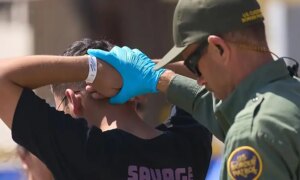 Warning issued against immigration scams in New York state