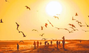 Extreme heat alert issued for Long Island with triple-digit temperatures
