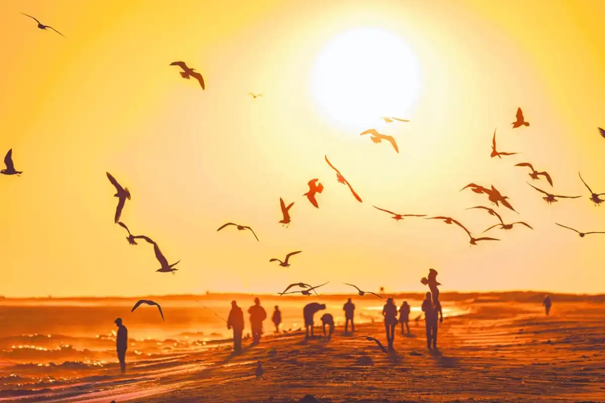 Extreme heat alert issued for Long Island with triple-digit temperatures