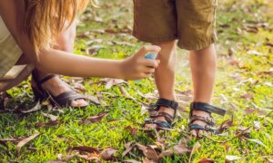 How to Treat and Prevent Bug Bites and Health Risks This Summer
