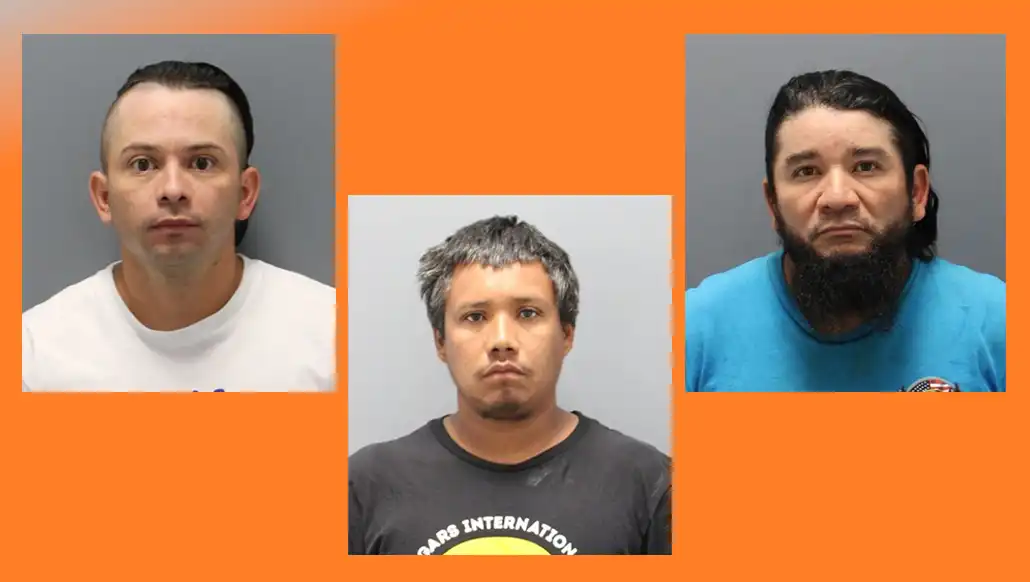 Three arrested while transporting rifles on Long Island, one arrested was handed over to ICE