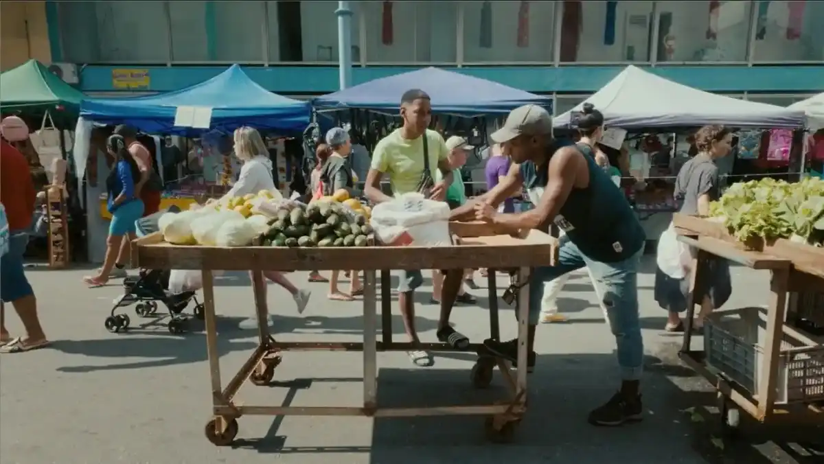 Vívelo LI: Native Plant Sale and Environmental Fair in Brentwood