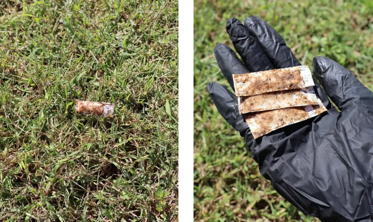 Nassau Health Department distributes rabies vaccine baits for raccoons