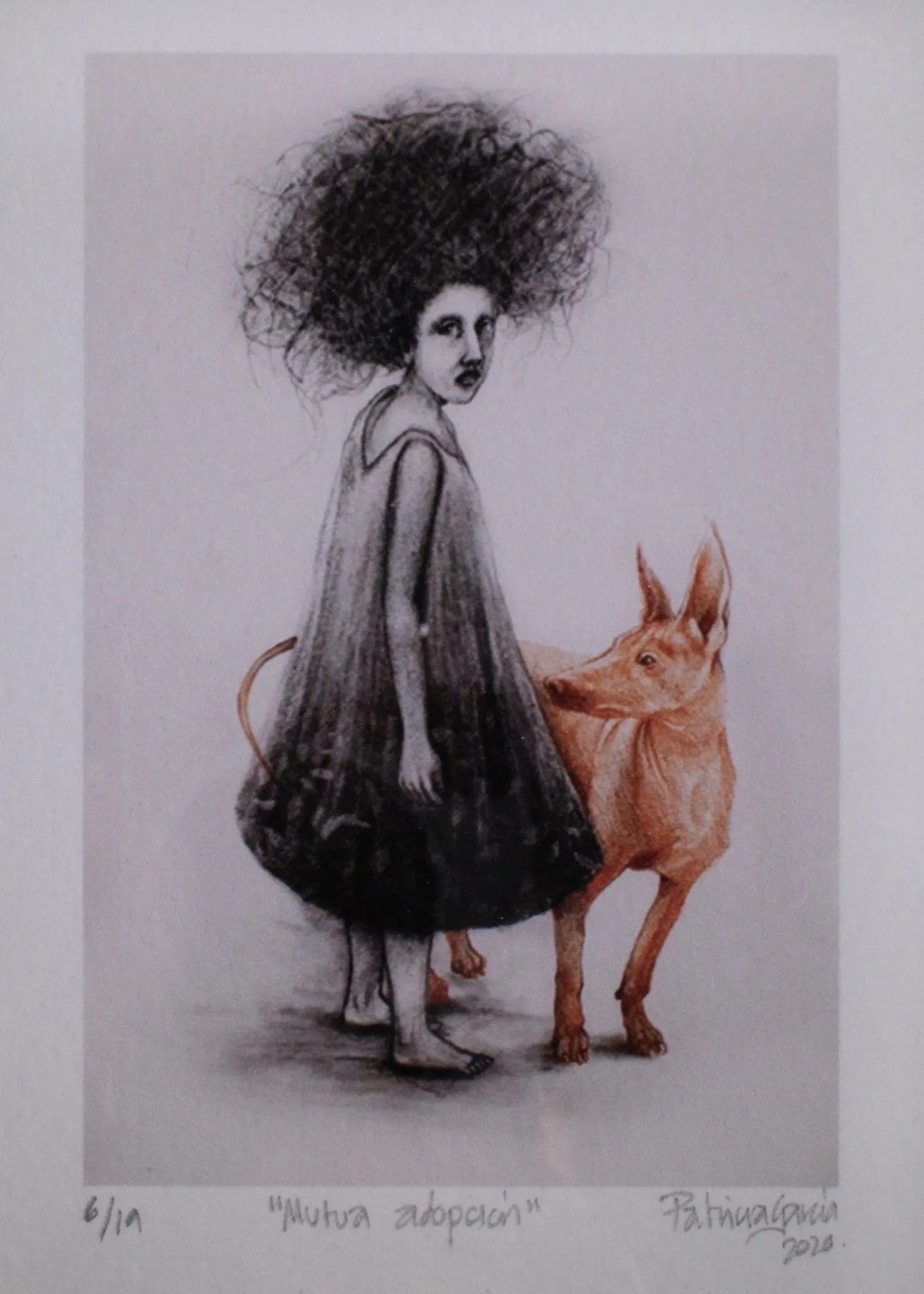 Xoloitzcuintle