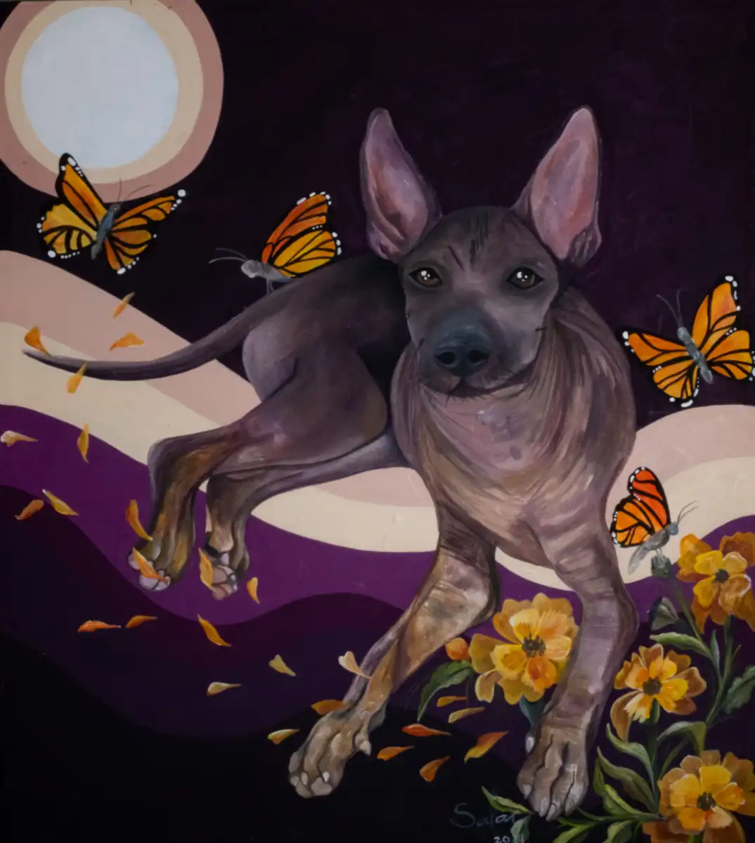 The Xoloitzcuintle comes to life in a new exhibition at the Dog Museum