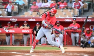 The Dominican baseball league LIDOM ignites the battle for the crown