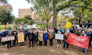 “No Kings” rally in Great Neck focuses on voting and election security