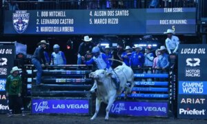 The New York Mavericks return for three days of bull riding at UBS Arena