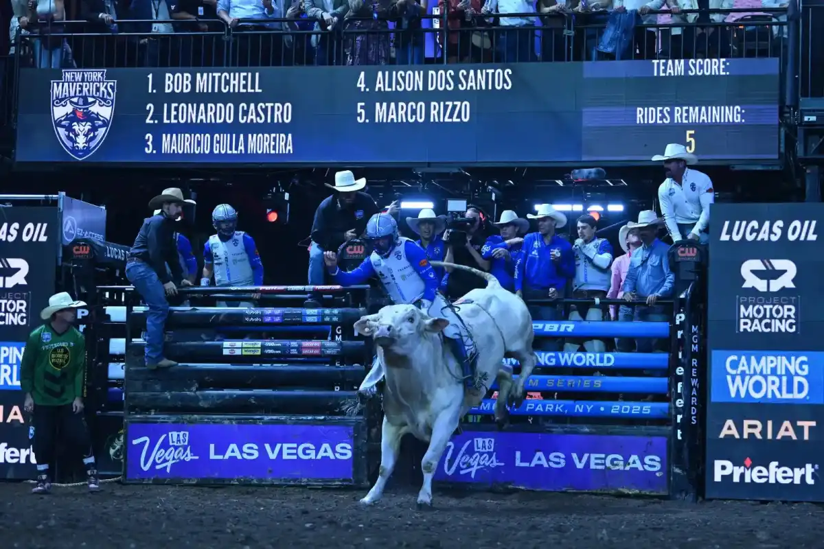 The New York Mavericks return for three days of bull riding at UBS Arena